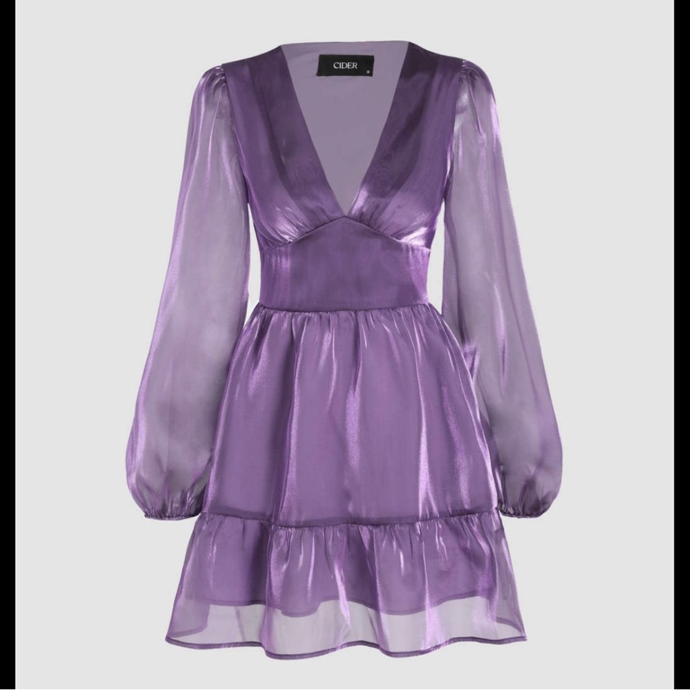 Purple Cider Mesh V neck dress